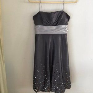 Dressbarn Silver Party Dress- Size 6